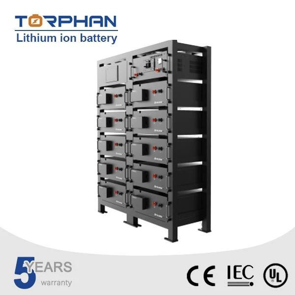 Lithium Ion UPS Battery